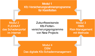 das New Projects Model